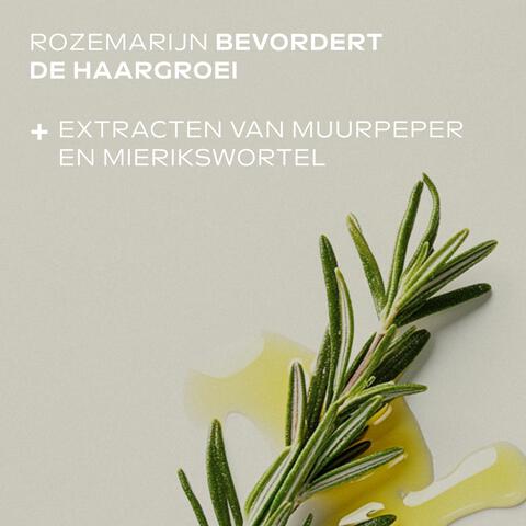 Weleda Rozemarijn Revitaliserende Haarlotion 100 ML