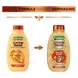 Garnier Loving Blends Honing Goud Herstellende Shampoo 300 ML