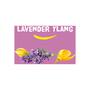 Happy Earth 100% Natuurlijke Lavender Ylang Handzeep 300 ML