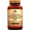 Solgar Glucosamine Hyaluronic Acid Chondroitin MSM Tabletten 60 stuks