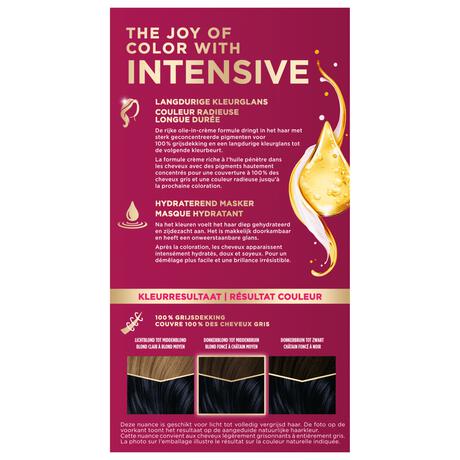 Poly Palette 909 (1-1) Blauwzwart Haarverf