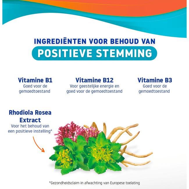 Valdisp Positieve stemming 30