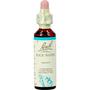 Bach Bloesem Essence Rock Water 20 ML