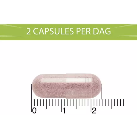 BlaseBerry 50 capsules