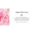 Therme Saigon Pink Lotus Anti-Transpirant 48H Deodorant Spray 150 ML