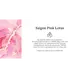 Therme Saigon Pink Lotus Anti-Transpirant 48H Deodorant Spray 150 ML