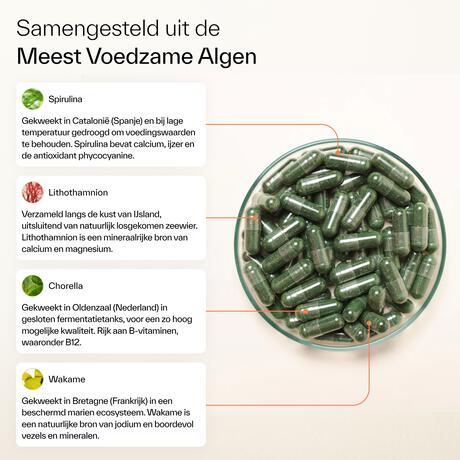 Plnktn Plankton Capsules 60 stuks