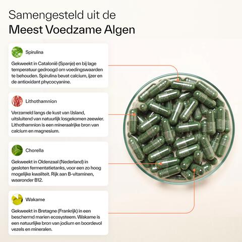 Plnktn Plankton Capsules 60 stuks