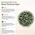 Plnktn Plankton Capsules 60 stuks