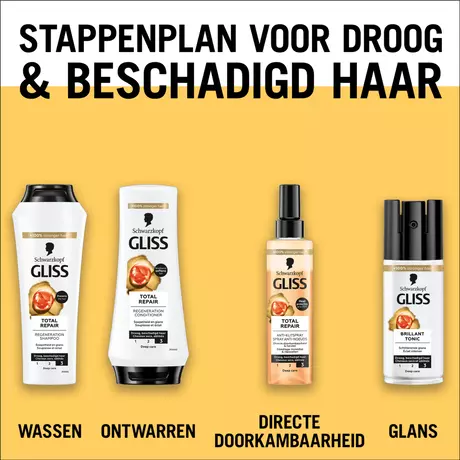 Gliss Kur Brilliant Tonic Droog Beschadigd Haar 100 ML