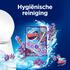 Glorix Toiletblok Powerclean Lavendel