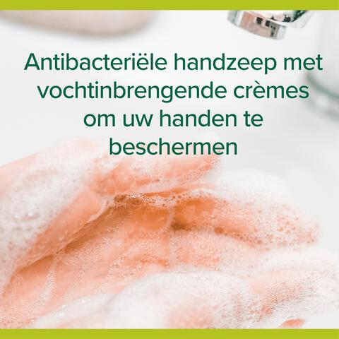 Palmolive Hygiëne Plus Family Antibacteriële Vloeibare Handzeep 300 ML