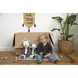 Happy Horse Cow Casper 28 cm