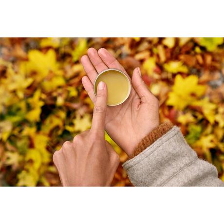 Weleda Calendula Alles-In-Een Balsem 25 GR