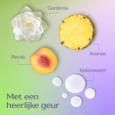 Andrélon Langer Fris shampoo 400 ML