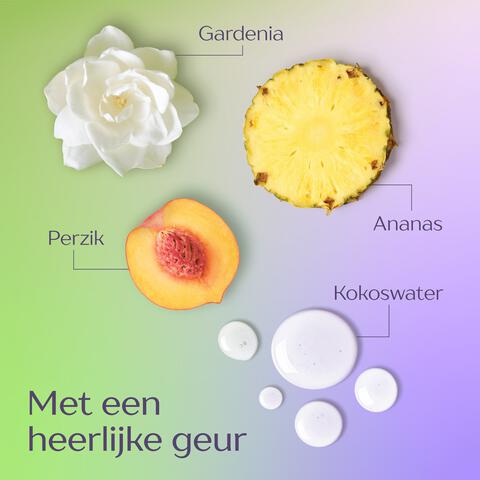 Andrélon Langer Fris shampoo 400 ML