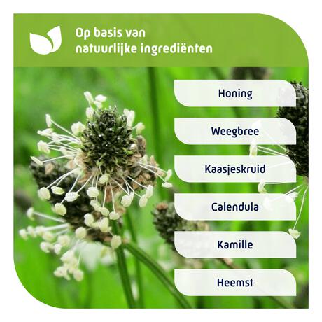 Natterman Nacht Voor Alle Hoest 150 ML