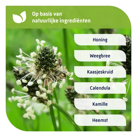 Natterman Nacht Voor Alle Hoest 150 ML