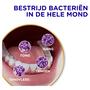 Prodent  Gevoeligheid & Tandvlees Tandpasta 75 ML