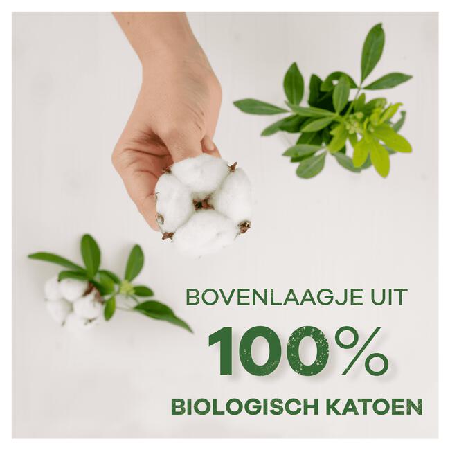 Always Dailies Cotton Protection Inlegkruisjes Normal Big Pack 52 Stuks