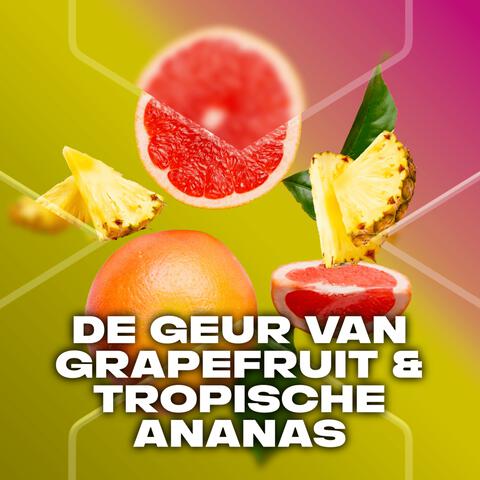 AXE Epic Fresh Deodorant Bodyspray 150 ML