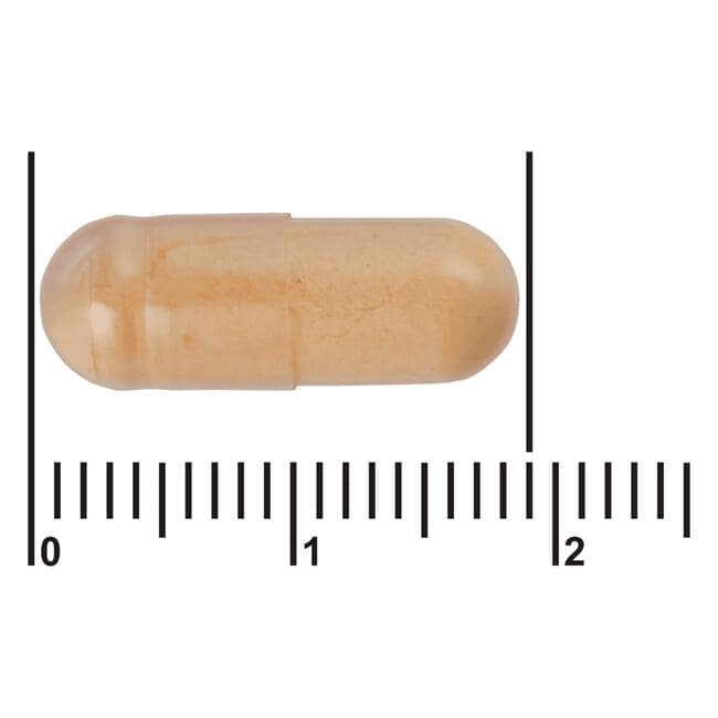 Etos Premium Vitamine B Complex 60 capsules