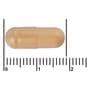 Etos Premium Vitamine B Complex 60 capsules
