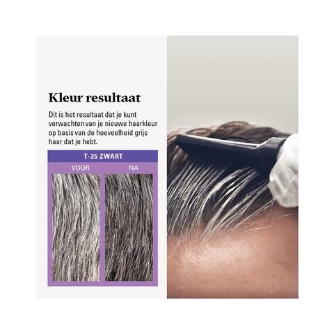 Just For Men Touch of Grey T35