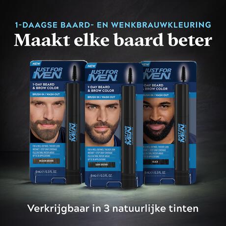 Just For Men Beard&Brow Zwart 1 St