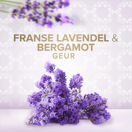 Palmolive Sensorial Escape Lavender & Bergamot Handzeep - 300 ML