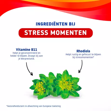 Valdisppert Stress Gummies 30 stuks