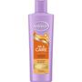 Andrélon Oil & Care Shampoo 250 ML