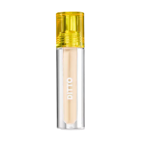Trouble Maker Ditto Radiant Concealer Wizz Kid