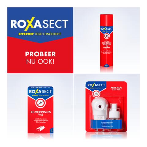 Roxasect Spuitbus Vliegende Insecten 400 ML