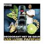 AXE Fine Fragrance Aqua Bergamot Deodorant Bodyspray 150 ML