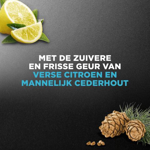 Dove Men+Care Clean Comfort Douchegel Mini 55 ML