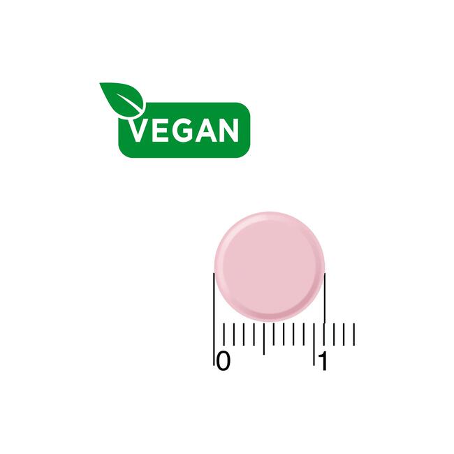 Dagravit Vitamine B12 1000μg  100 smelttabletten