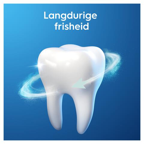 Oral-B Pro-Expert Frisse Adem Tandpasta 75 ML