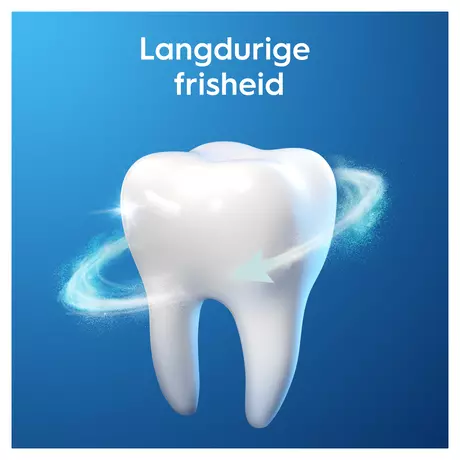 Oral-B Pro-Expert Frisse Adem Tandpasta 75 ML