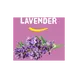 Happy Earth 100% Natuurlijke Lavender Deodorant Balm 45 gram