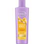 Andrélon Perfect Krul Shampoo 250 ML