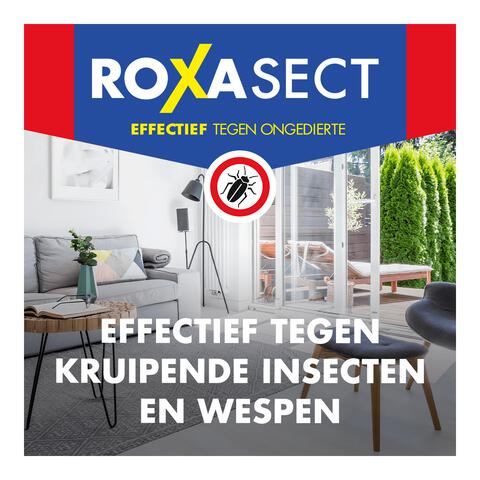 Roxasect Spuitbus Kruipende Insecten en Wespen 400 ML