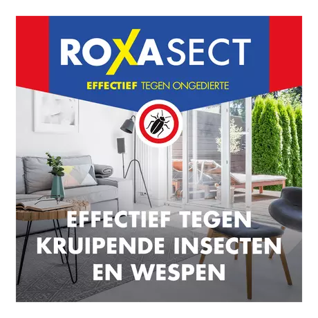 Roxasect Spuitbus Tegen Kruipende Insecten en Wespen 400 ML