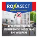 Roxasect Spuitbus Tegen Kruipende Insecten en Wespen 400 ML