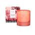 Etos Blossom Whisper Candle 210 Gram