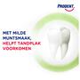 Prodent Xylitol Tandpasta 75 ML