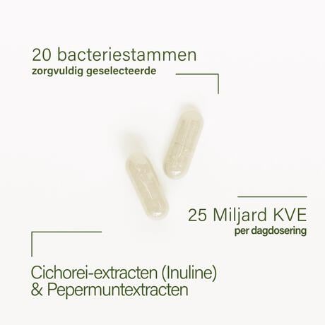 Nupure probaflor plus - Probiotica complex met pepermunt en chicorei, 60 capsules
