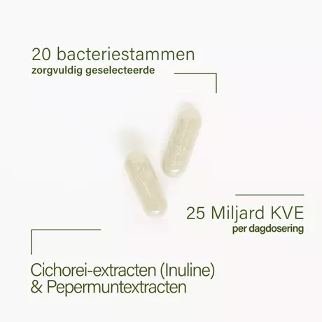 Nupure Probaflor Plus Probiotica Pepermunt Chicorei Capsules 60 stuks