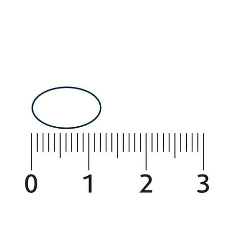 Lucovitaal Vegan Omega 3 Microalgen Capsules 60 stuks