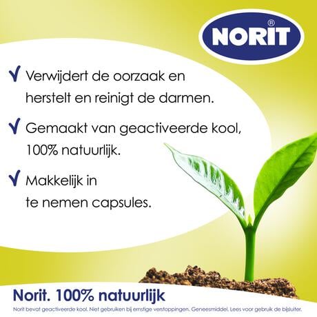 Norit 200 MG Capsules 30 stuks